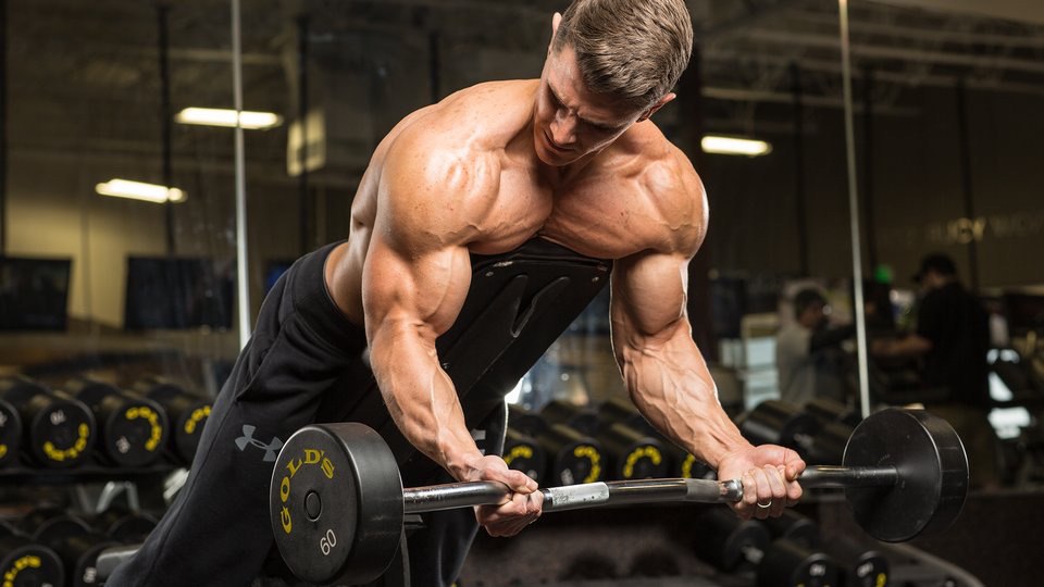 What you need for biceps. How to quickly pump up biceps? Best workout  exercises