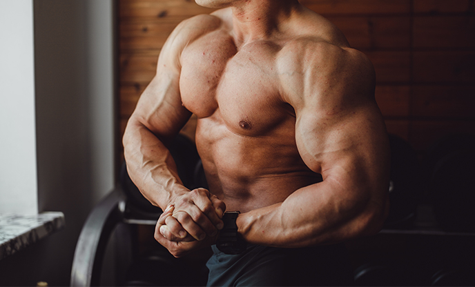 The most important muscle group – expert opinion