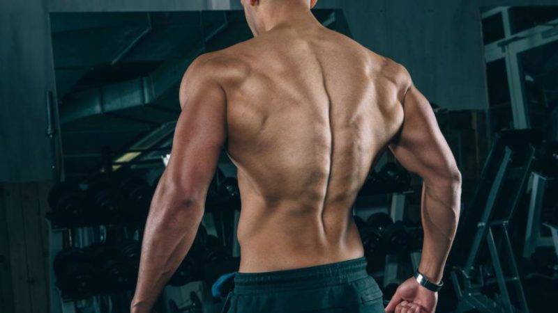 5 советов, как накачать широчайшие мышцы спины